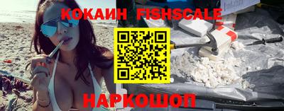 крисы Камышлов