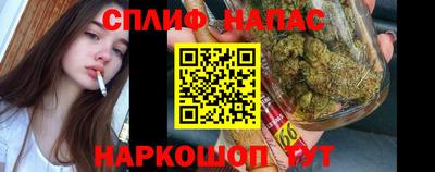 крисы Камышлов