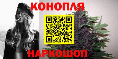 крисы Камышлов
