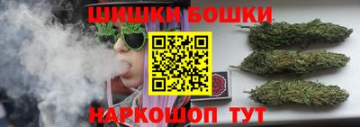крисы Камышлов