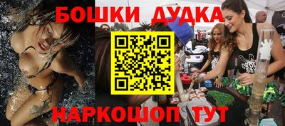 гашик Кандалакша