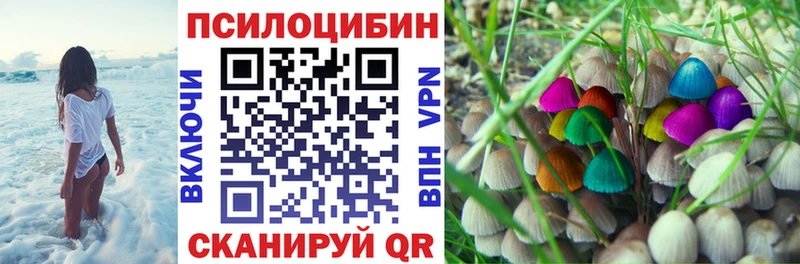 Галлюциногенные грибы Cubensis  купить закладку  Красный Сулин 