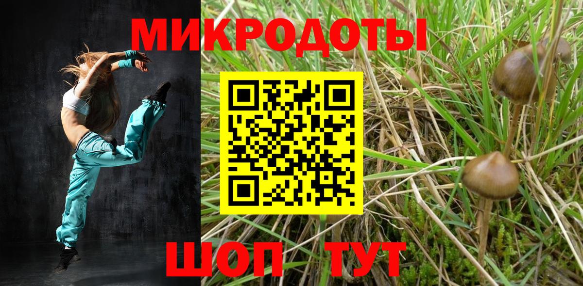 Галлюциногенные грибы мицелий Красный Сулин